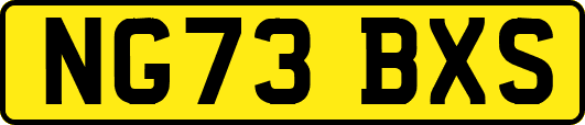 NG73BXS