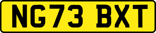 NG73BXT