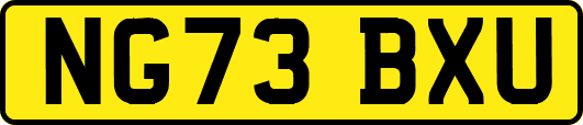 NG73BXU