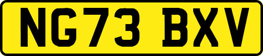 NG73BXV