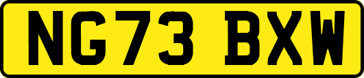 NG73BXW