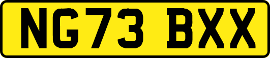 NG73BXX
