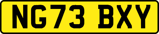 NG73BXY