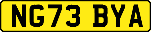 NG73BYA