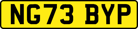 NG73BYP