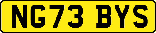 NG73BYS