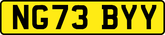 NG73BYY