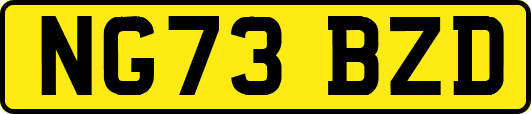 NG73BZD