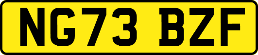 NG73BZF