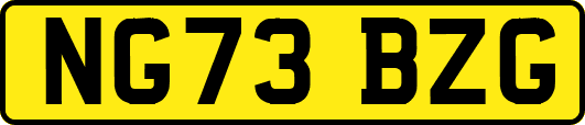NG73BZG