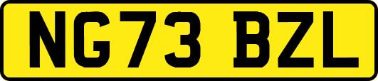 NG73BZL