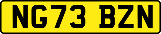 NG73BZN