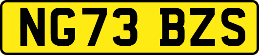 NG73BZS