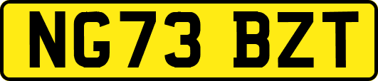 NG73BZT