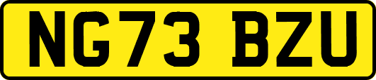 NG73BZU