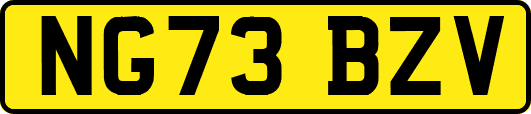 NG73BZV