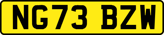 NG73BZW