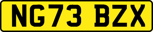 NG73BZX