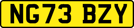 NG73BZY