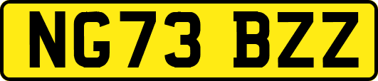 NG73BZZ