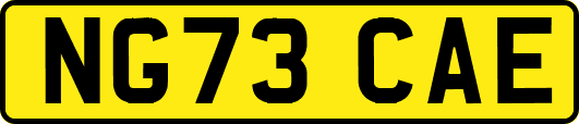 NG73CAE