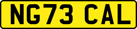 NG73CAL