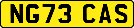 NG73CAS