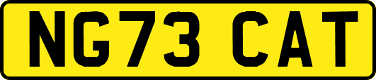 NG73CAT