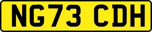 NG73CDH