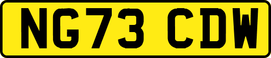NG73CDW