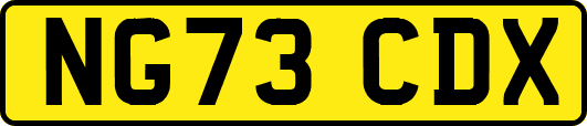 NG73CDX