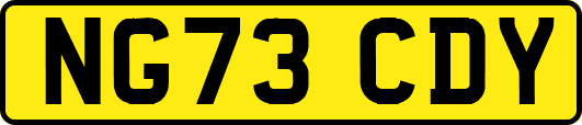 NG73CDY