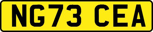 NG73CEA