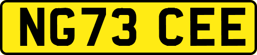 NG73CEE