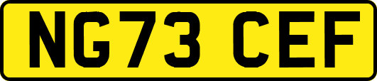 NG73CEF