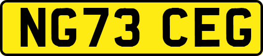 NG73CEG