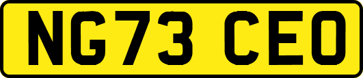 NG73CEO