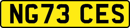 NG73CES