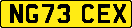 NG73CEX