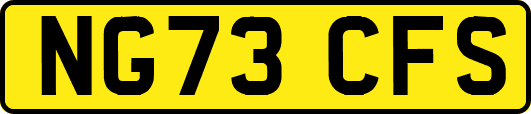 NG73CFS