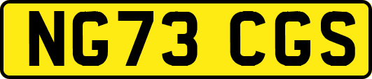 NG73CGS