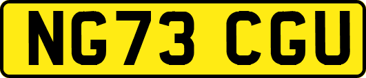 NG73CGU