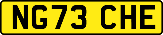NG73CHE