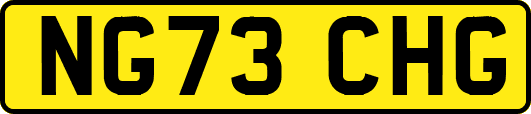 NG73CHG