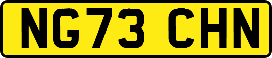 NG73CHN
