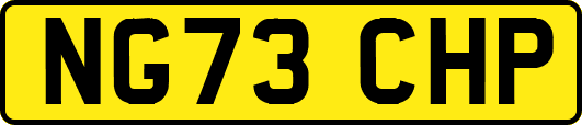 NG73CHP