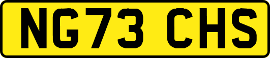 NG73CHS
