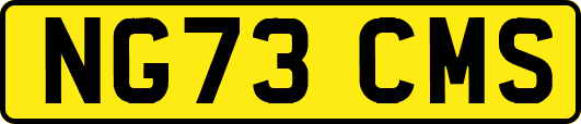 NG73CMS