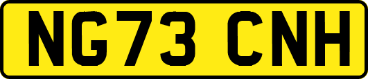 NG73CNH