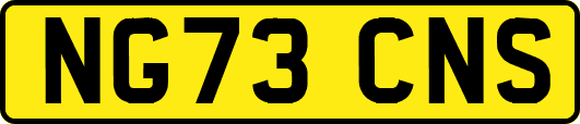 NG73CNS